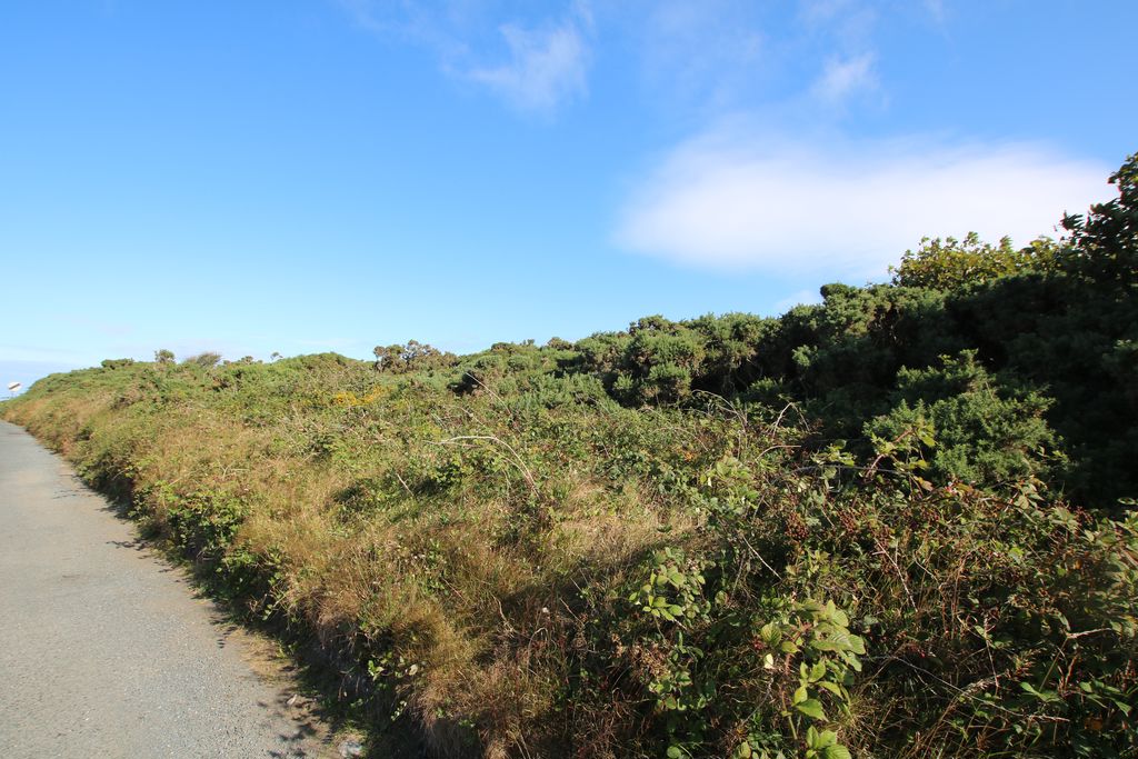Parcels of Land, Cregneash, Port St Mary IM9 5PS. - Photo 1 of 2