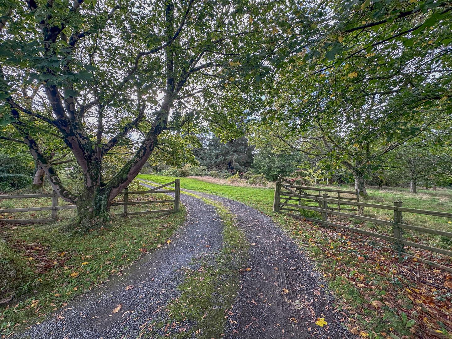 Ivie Cottage, Douglas Road Kirk Michael. - Photo 2 of 38