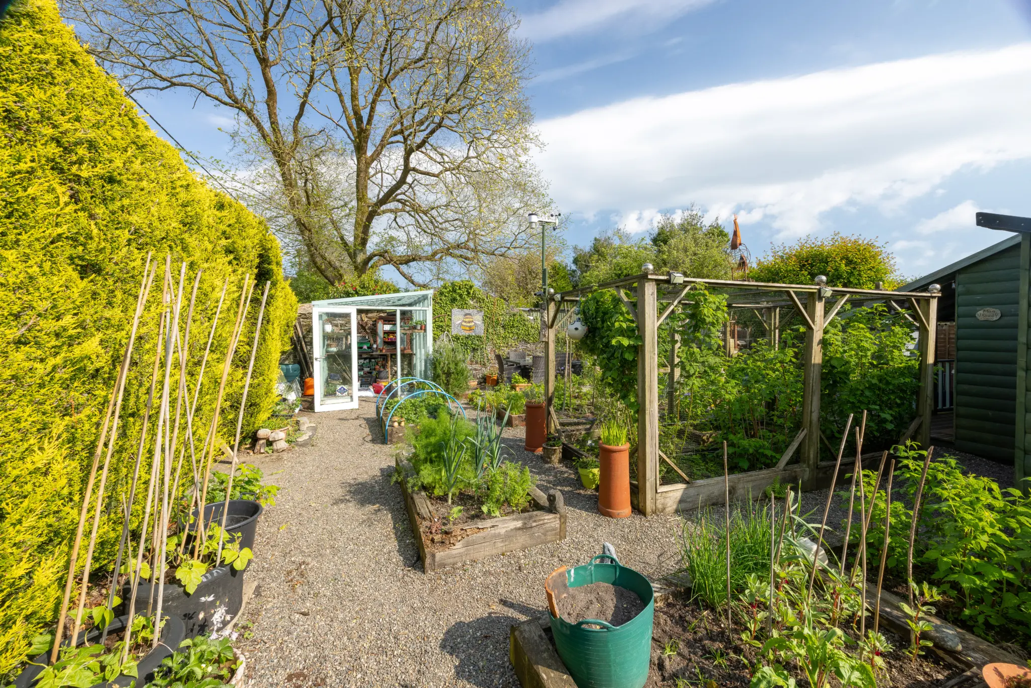 Lifestyle Allotment, Main Road, Greeba, St Johns. - Photo 2 of 10